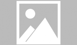 恐龙视频,揭秘史前巨兽的传奇与奥秘